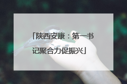 陕西安康：第一书记聚合力促振兴