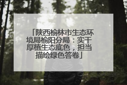 陕西榆林市生态环境局榆阳分局：实干厚植生态底色，担当描绘绿色答卷