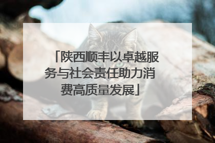 陕西顺丰以卓越服务与社会责任助力消费高质量发展