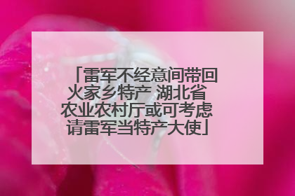 雷军不经意间带回火家乡特产 湖北省农业农村厅或可考虑请雷军当特产大使