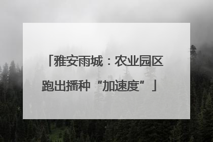 雅安雨城：农业园区跑出播种“加速度”