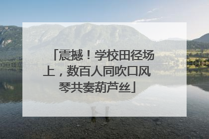 震撼！学校田径场上，数百人同吹口风琴共奏葫芦丝