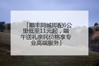 顺丰同城即配6公里低至11元起，端午送礼亲民价格享专业高端服务