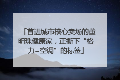 首进城市核心卖场的董明珠健康家，正撕下“格力=空调”的标签