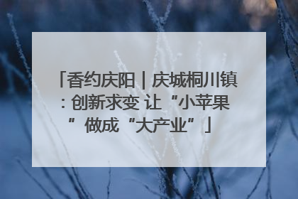 香约庆阳｜庆城桐川镇：创新求变 让“小苹果”做成“大产业”