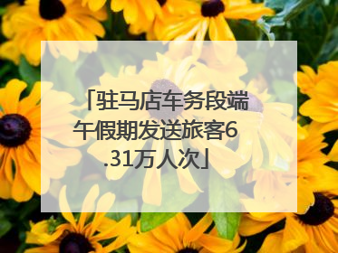 驻马店车务段端午假期发送旅客6.31万人次