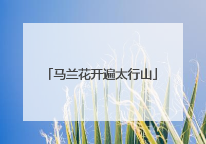 马兰花开遍太行山