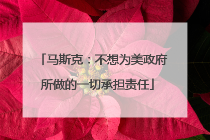 马斯克：不想为美政府所做的一切承担责任