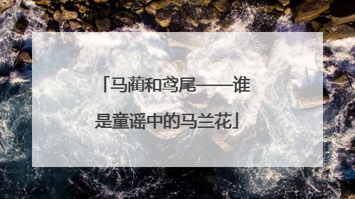 马蔺和鸢尾——谁是童谣中的马兰花