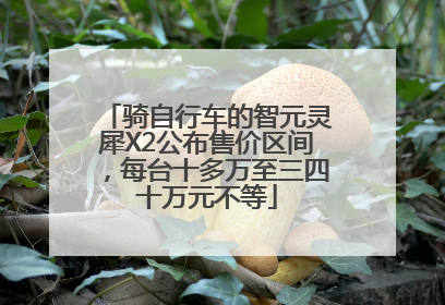 骑自行车的智元灵犀X2公布售价区间，每台十多万至三四十万元不等