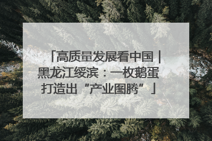 高质量发展看中国｜黑龙江绥滨：一枚鹅蛋打造出“产业图腾”