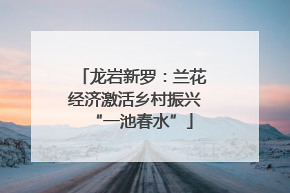 龙岩新罗：兰花经济激活乡村振兴“一池春水”