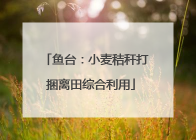鱼台：小麦秸秆打捆离田综合利用