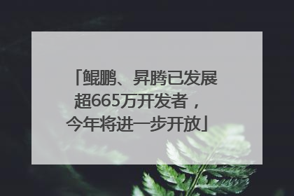 鲲鹏、昇腾已发展超665万开发者，今年将进一步开放