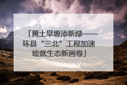 黄土旱塬添新绿——环县“三北”工程加速绘就生态新画卷