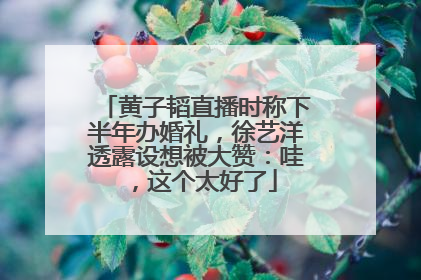 黄子韬直播时称下半年办婚礼，徐艺洋透露设想被大赞：哇，这个太好了