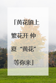 黄花镇上繁花开 仲夏“黄花”等你来