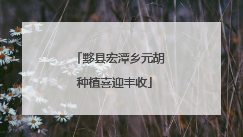 黟县宏潭乡元胡种植喜迎丰收