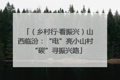 （乡村行·看振兴）山西临汾：“电”亮小山村 “碳”寻振兴路