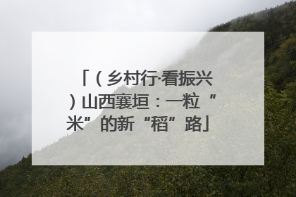 （乡村行·看振兴）山西襄垣：一粒“米”的新“稻”路