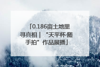 0.186亩土地里寻真相｜“天平杯·随手拍”作品展播