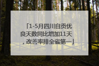 1-5月四川自贡优良天数同比增加11天，改善率排全省第一