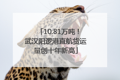 10.81万吨！武汉阳逻港直航货运量创十年新高