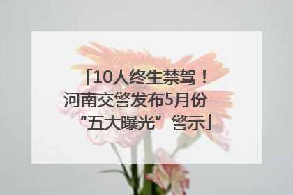 10人终生禁驾！河南交警发布5月份“五大曝光”警示