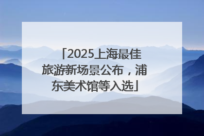 2025上海最佳旅游新场景公布，浦东美术馆等入选