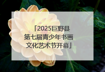 2025巨野县第七届青少年书画文化艺术节开幕