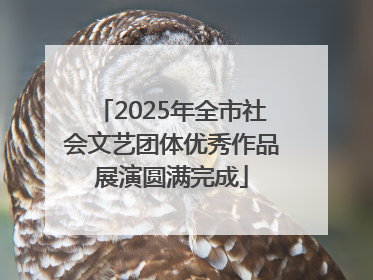 2025年全市社会文艺团体优秀作品展演圆满完成