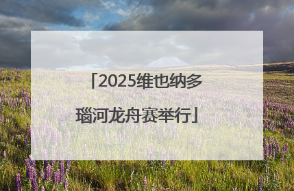 2025维也纳多瑙河龙舟赛举行