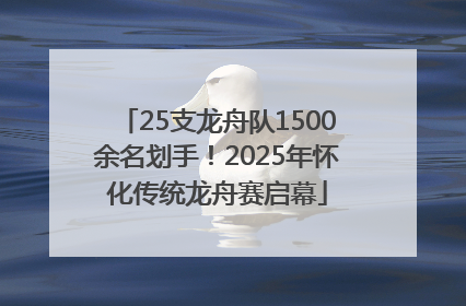 25支龙舟队1500余名划手！2025年怀化传统龙舟赛启幕