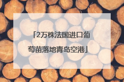 2万株法国进口葡萄苗落地青岛空港