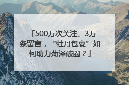 500万次关注、3万条留言，“牡丹包裹”如何助力菏泽破圈？
