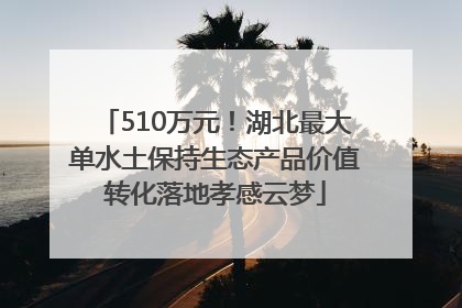 510万元！湖北最大单水土保持生态产品价值转化落地孝感云梦
