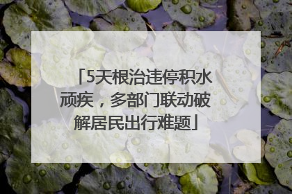 5天根治违停积水顽疾，多部门联动破解居民出行难题